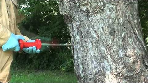 Injecting Conifiers using the Portle Kit