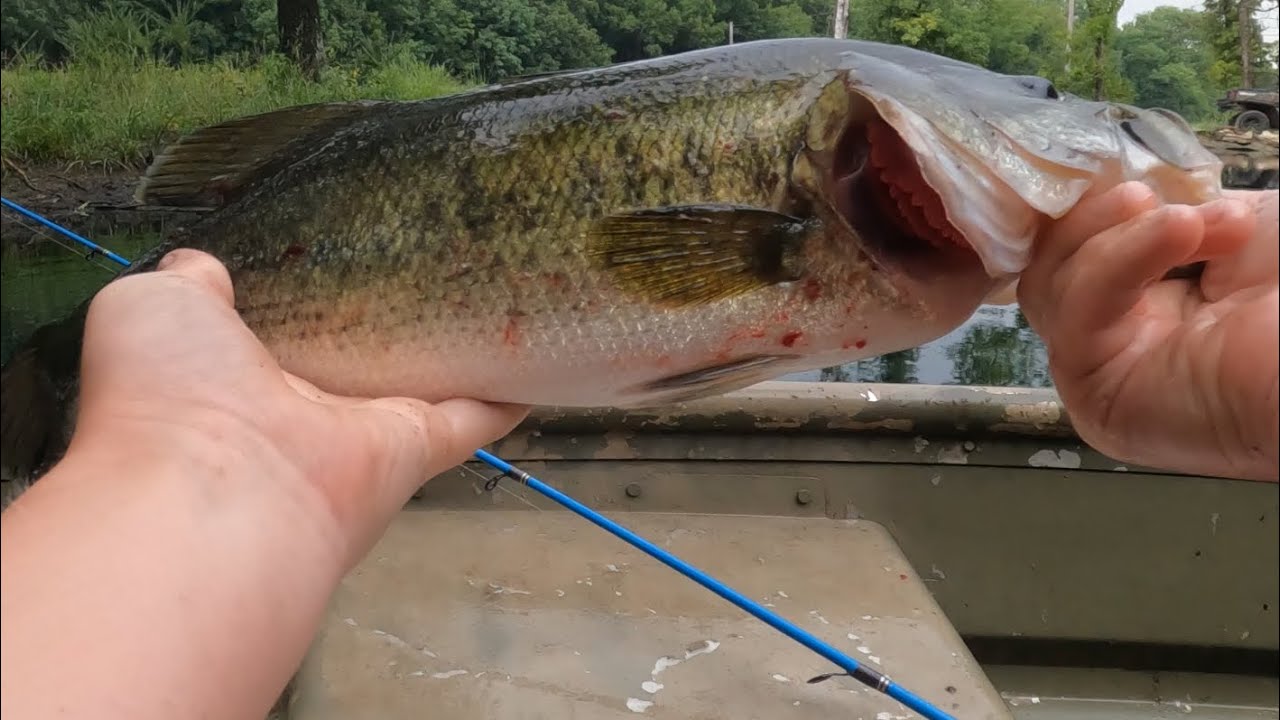First bass fishing video