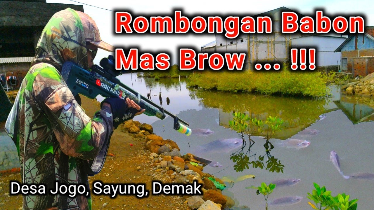 Tak Banyak Yang Tau Spot Ini Ternyata Ikannya Melimpah ‼️ Menembak Ikan Di Depan Rumah