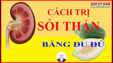 Đánh bay sỏi thận chỉ cần 7 quả đu đủ xanh | Bảo Kỳ Nam
