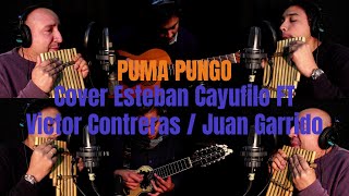 Puma Pungo - Altiplano #cover chords