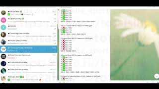 RAISE MONEY разоблачение и ОТЗЫВЫ о ставках ДИМАС ИЗ БАТАЙСКА 0