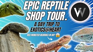 EPIC REPTILE SHOP TOUR!