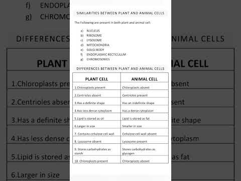 Animal Cell vs.