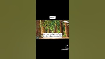 ما تيسر من سورة التحريم