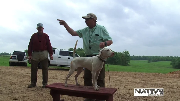 Dog Talk with Ferrel Miller, Harold Ray, Chris Pee...