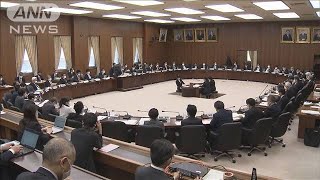 国民投票法を今国会で初審議　立憲・共産は採決反対(2021年4月15日)