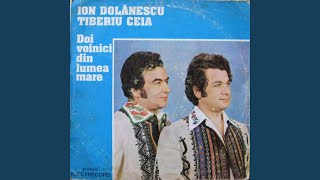 Am sa plec la Orastie