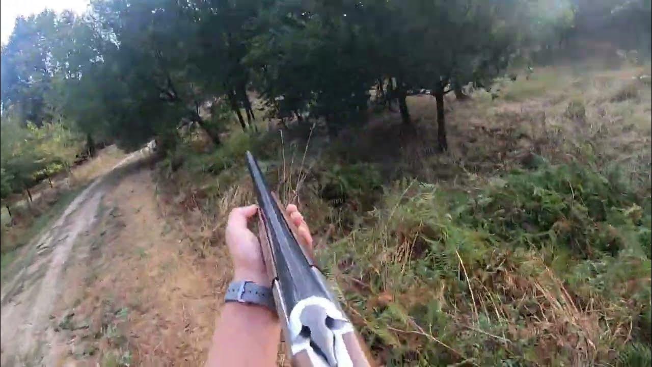 Jabalí con Superpuesta VI. Batida de jabalí en Galicia YouTube