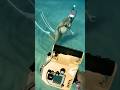 #underwater #underwatermodel #bikini #snorkeling #respect #scubadiving #diving #chorichorimainebhito