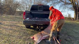 How To Load A Deer Into A Truck By Yourself