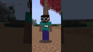 Minecraft Server with INSANE Ping 🔥 #minecraft #shorts