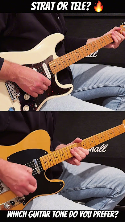 Download lagu Fender Stratocaster vs Telecaster - Best Country Sound? 🔥 #shorts #music #youtubeshorts #guitar