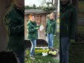 TULPEN UND WÜHLMÄUSE - keine gute Kombi - oder? 🌷🐁