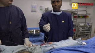 IVUS IMAGING OF LEFT MAIN by Dr. Vijay Kumar Reddy at Sunshine Heart Institute