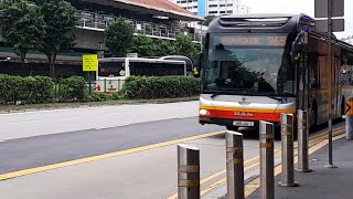 (SPF & NCPC Don't Be A Scam Mule Full Body Advertisement) SMB1412Z(MDDEP) Service 965 (Buangkok EDS)