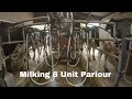 .s are back milking in a 6 unit parlour
