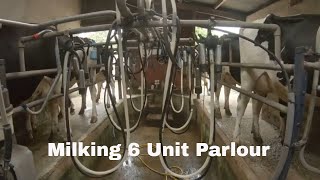 Videos are back// Milking in a 6 unit parlour
