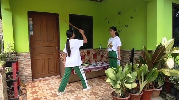 ACTIVITY NO. 3 ARNIS 12 BASIC STRIKES