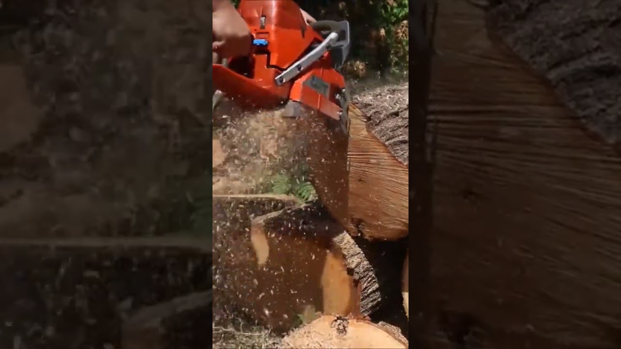 #portedchainsaw
