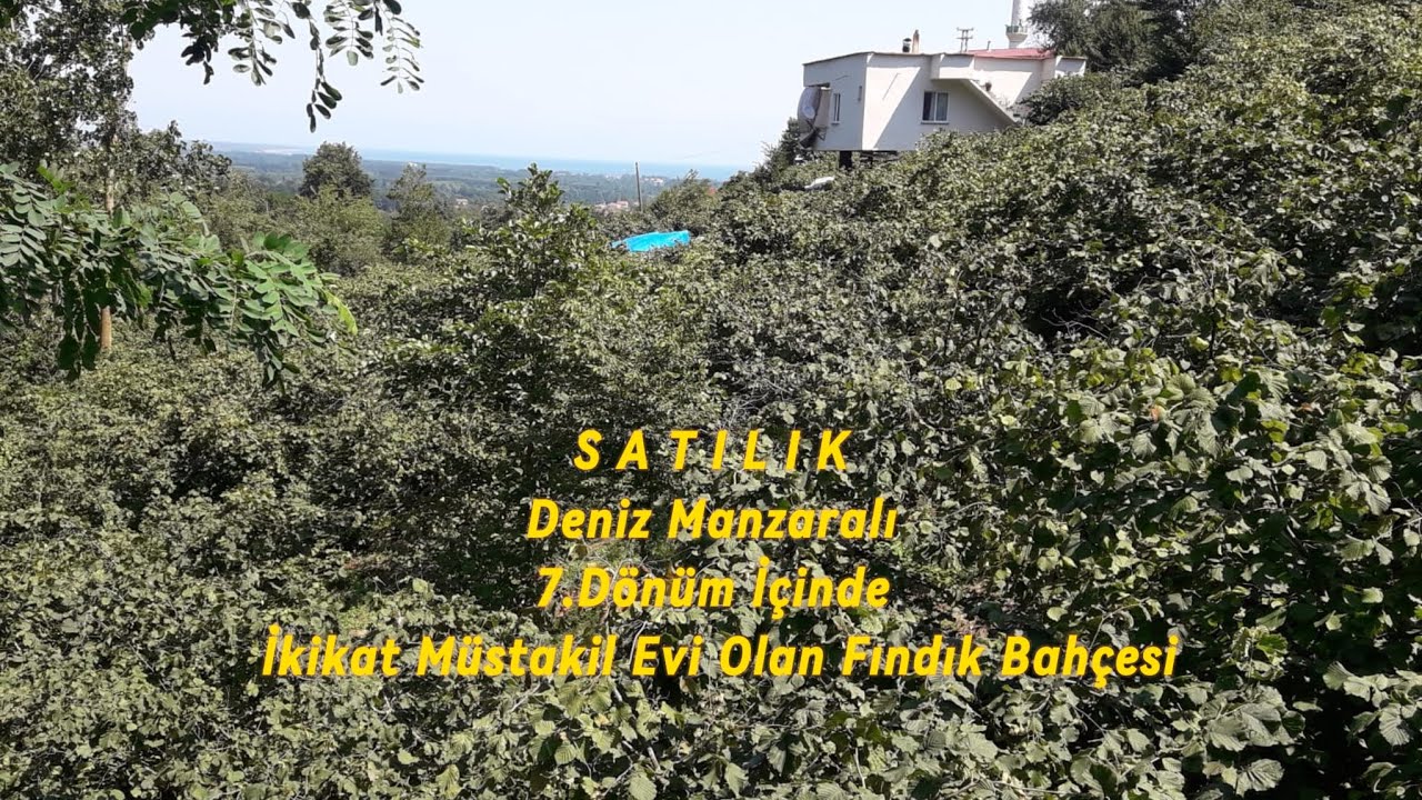 Samsun Terme Evci/Gökseki.de SATILIK 7.Dönüm İçinde İkikatlı Müstakil ev