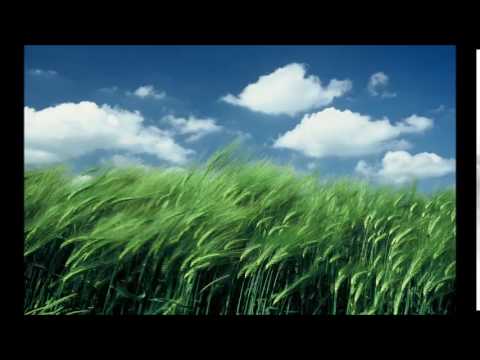 soft wind sound effects mp3 download soft wind sound effects mp3 download