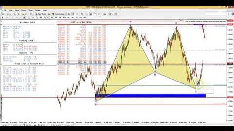 Harmonic Scanner Training  How to use it