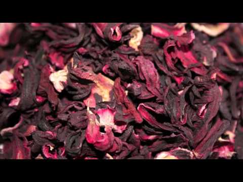 Video: Rose Mallow