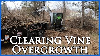 Clearing Vine Overgrowth with an Excavator