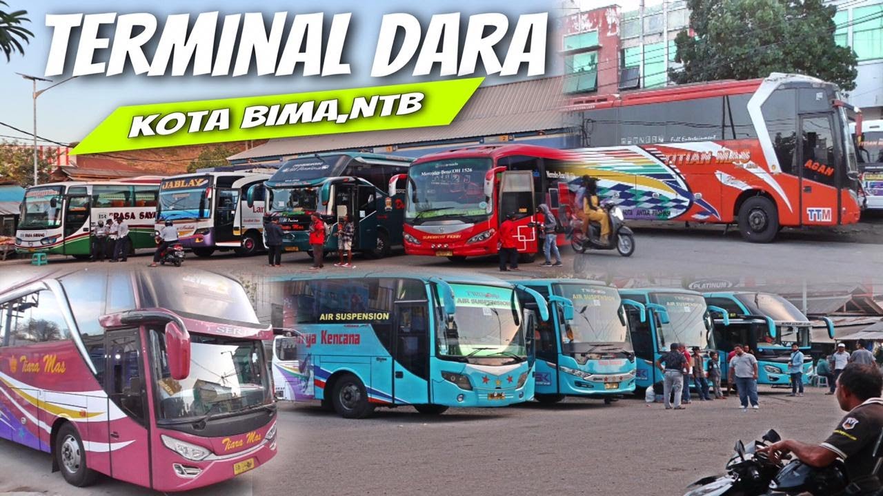 Ada Bis Apa Saja?? Hunting Bis Di Terminal Dara Kota Bima, NTB
