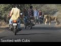 Rare Animals in Mudumalai National Park മുതുമല കാട്ടിലെ ...