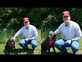 Zach John King Takes Shelter Dog Duke for a Walk and Talks New Music on The Pupdate