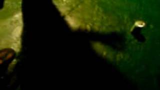 MOV01466.3GP