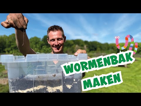 Video: Vermiculture-insecten - Wat te doen tegen insecten in vermicompost