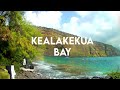 Captain Cook Monument Hike and Kealakekua Bay Snorkeling | Best snorkel  spots on Big Island HAWAII