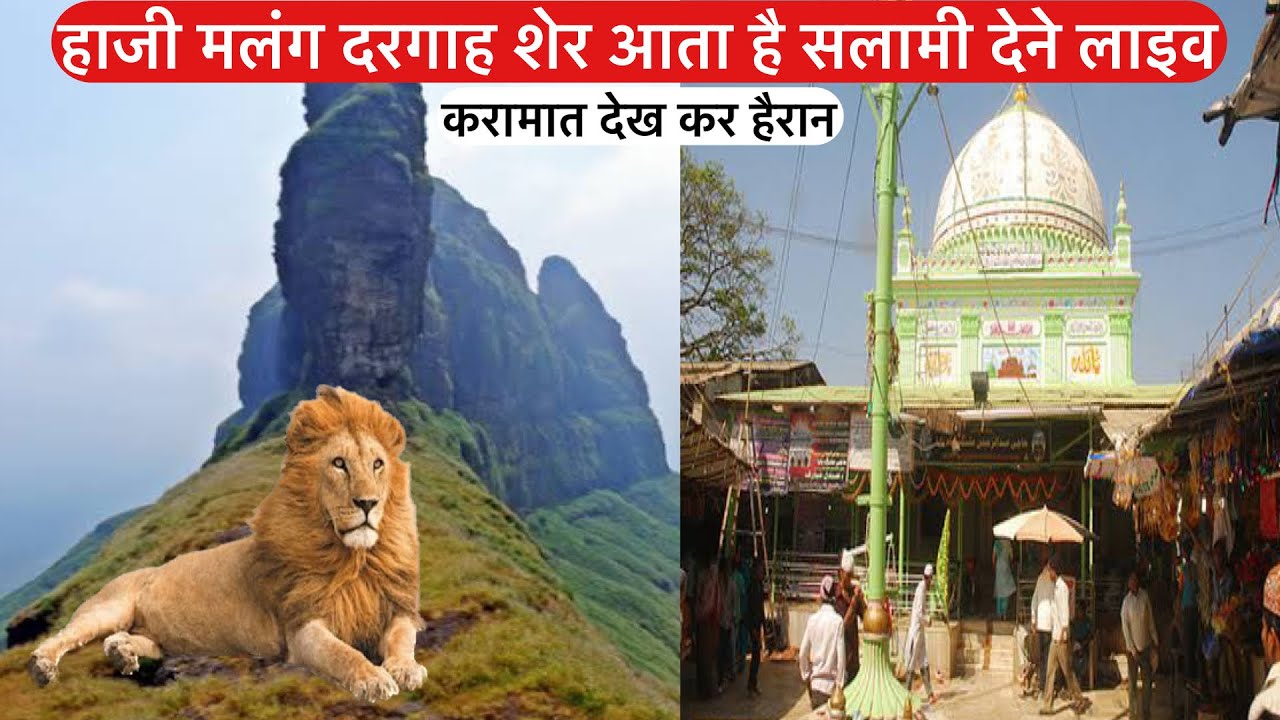 Haji malang karamati dargah sher aate he salami dene live | हाजी मलंग दरगाह शेर आते है सलामी देने