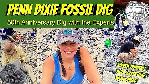 Penn Dixie 30th Anniversary Fossil Dig With the Experts. Fossil Hunting and Fossil Collecting Chris