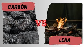 Diferencia entre carbón y leña ¿Cual es mejor?