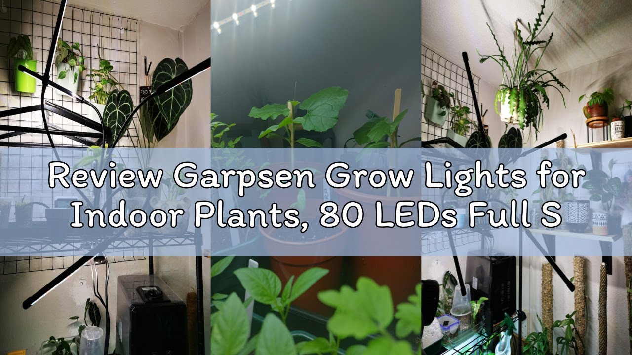 Review Garpsen Grow Lights for Indoor Plants, 80 LEDs Full Spectrum Led Plant Grow Light, 10 Dimming