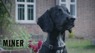 Miner | What They Did Next @batterseadogsandcats