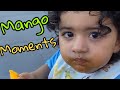 Rasbhari Mangoes Cutest Moments #Rasbhari