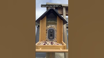 😍Fantastic customer review: Monica prepared super tasty treats for wild birds!