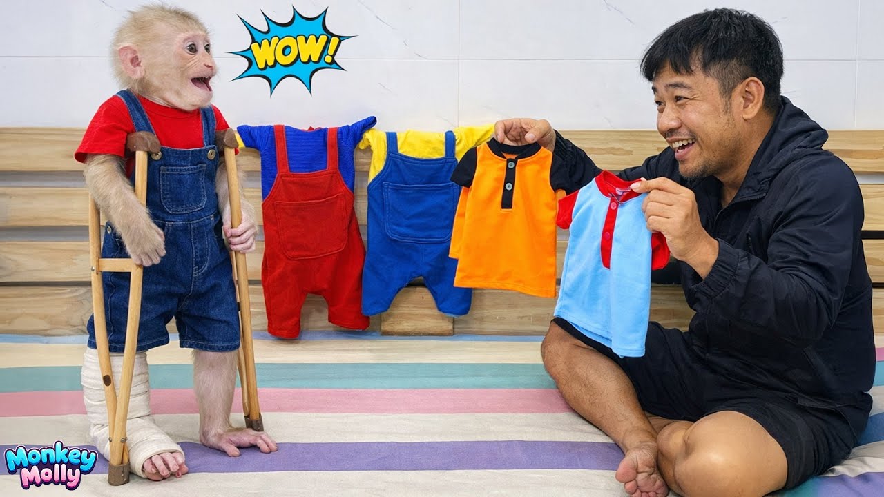 A week full of joy for Monkey Molly as Mom and Dad spoil her with special gifts!