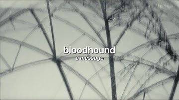 A Message - Bloodhound (Official Video)
