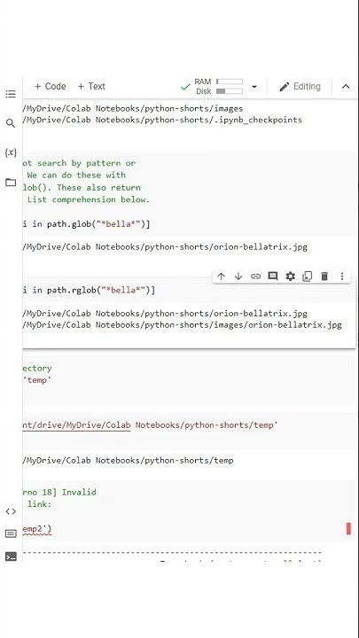 How to Search Directories Recursively with Python Glob and Rglob # ...