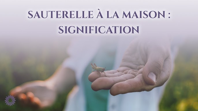 Signification Sauterelle Verte Dans Une Maison www.ventanasierra.org