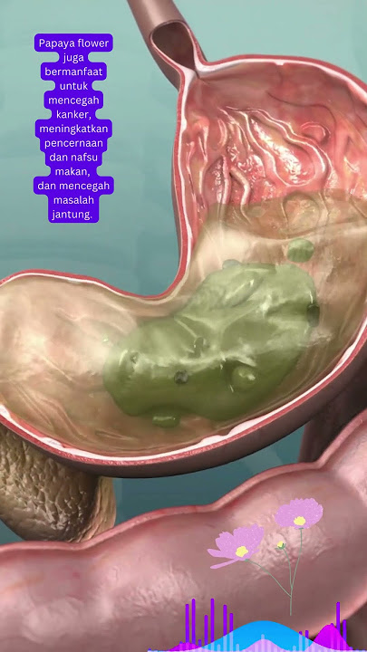 Khasiat Bunga Pepaya