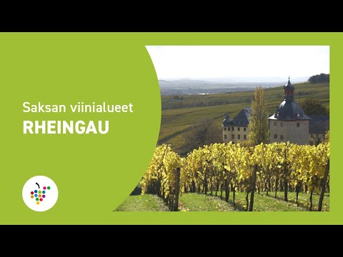 Video: Vierailee Saksan Rheingaun Viinialueoppaassa Ja Parhaimmissa Riesling-maisteluissa