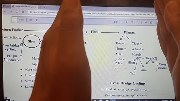 Mind Maps Physiology: Skeletal Muscle, New system, Dr Mohamed Fayez