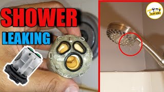 How to fix a leaky shower head step by step  American standard